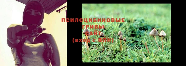 прущая мука Абаза